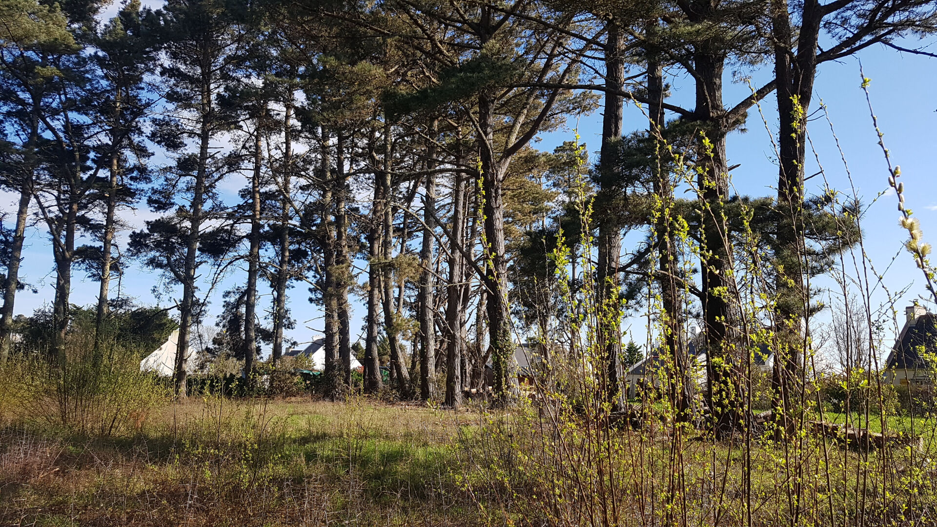 L'agence de l'océan vous propose cette maison à vendre à belle-ile-en-mer